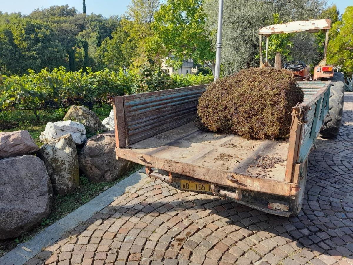 Apartmán Casa El Paso Padenghe sul Garda Exteriér fotografie